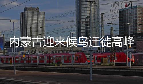 乌梁素海水质持续好转