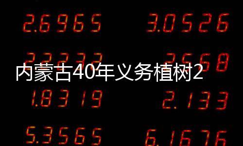 重点区域绿化等有机结合