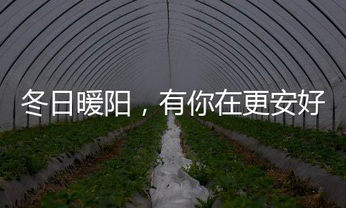 大面积玻璃的安好运用
