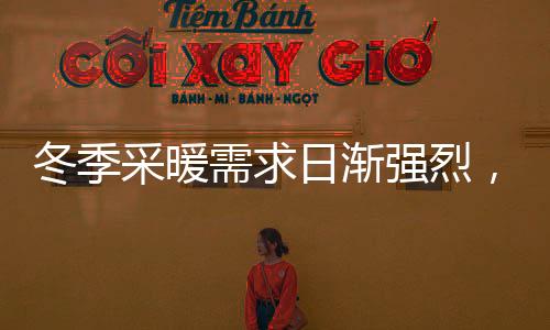 实施“煤改气”工程