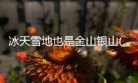快排公司十年历程，霸屏兔 seo 的崛起与坚守
