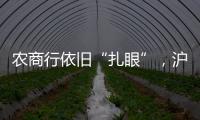 农商行依旧“扎眼”

，沪农商行摘“罚金之王”｜金融合规榜
