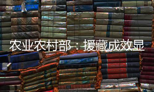 民族手工艺等新产业新业态