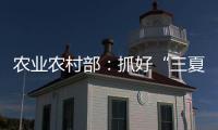 农业农村部：抓好“三夏”生产 努力夺取全年粮食丰收