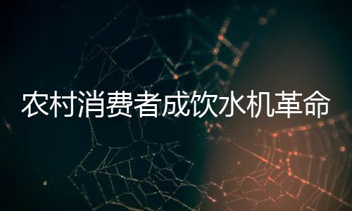 农村价格便宜的消费杂牌为主