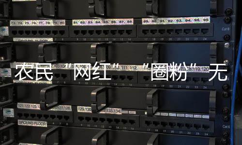 为乡村振兴注入新动能