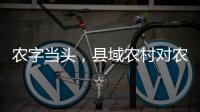 农字当头，县域农村对农行的贡献度有多高？丨透视银行业年报⑥