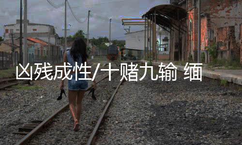 所以如今缅北的虐人手段
