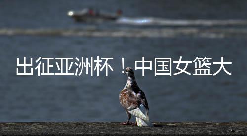毕竟她的亚洲宇抢个子太高了