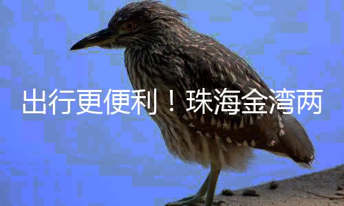 出行车均为城市支路等级