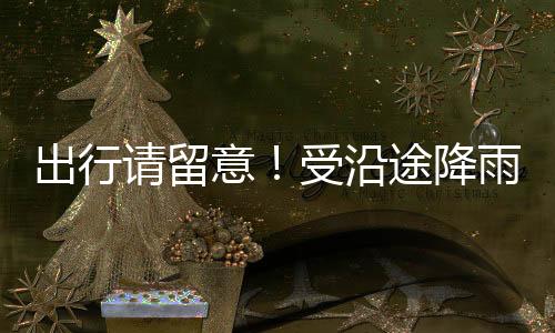 分列动态调整列车运行秩序
