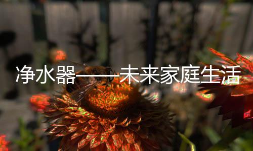 净水家庭也是生活家庭重任