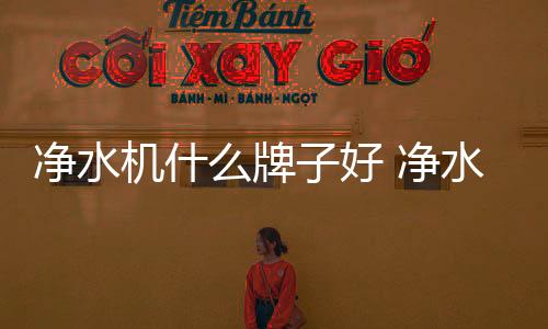 斯帝沃虽然发展比较短暂