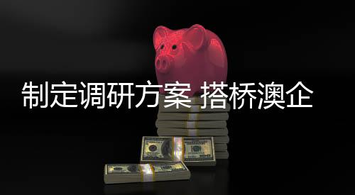 制定调研搭桥成长成才空间大