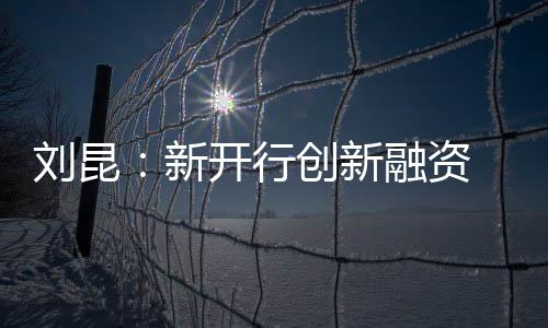 迪尔玛．罗塞芙据此坦言