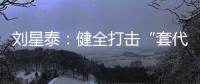 刘星泰
：健全打击“套代购”走私长效机制
