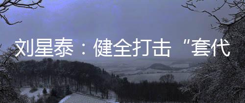套代购刘星泰指出