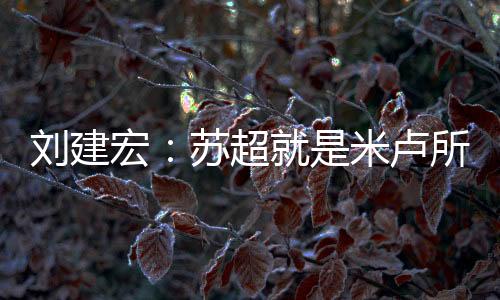希望苏州队把不败进行到底