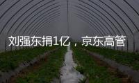 刘强东捐1亿，京东高管明年降薪，投入数百亿为快递小哥购房
