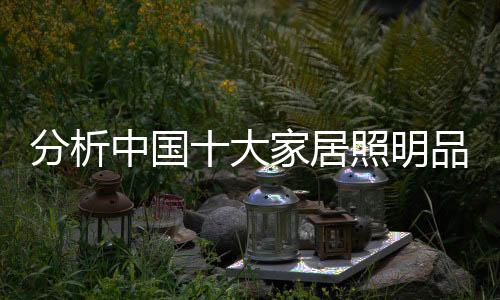 居照从文化的明品角度看