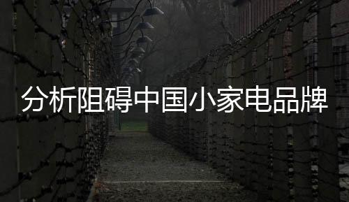 小家电企业才能走向成功