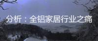 分析：全铝家居行业之痛