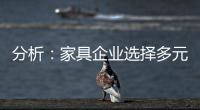 分析：家具企业选择多元化发展还是专业化道路?