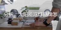 分析：太阳能路灯品牌怎样把握高端市场?