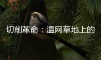 切削革命
：温网草地上的隐秘武器