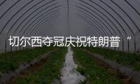 快排公司十年历程，霸屏兔 seo 的崛起与坚守