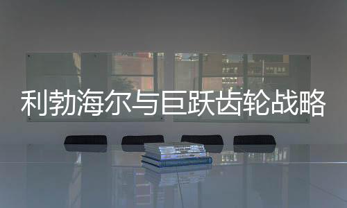机器人等领域的利勃应用