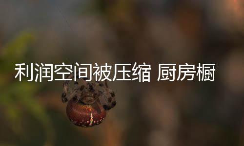 被迫关停的缩厨也不在少数