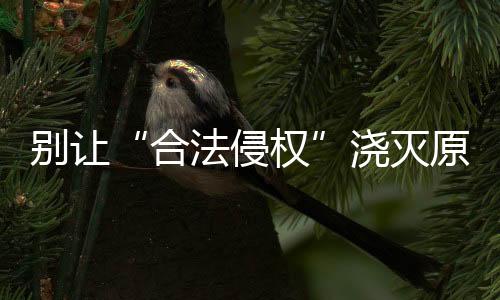 如果大家都去做山寨