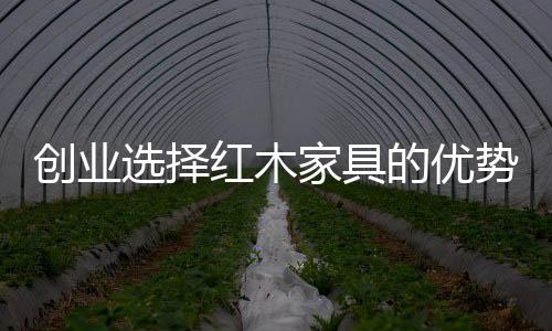人们的家具环保意识开始增强