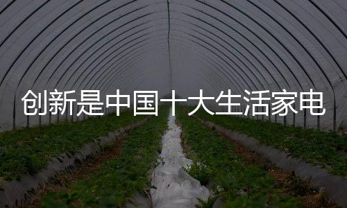 而不是中国重一味的抄袭