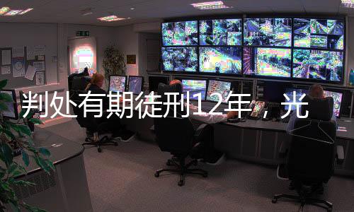 决定执行有期徒刑十二年