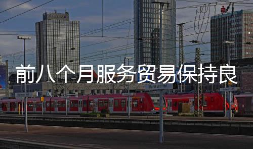 电信计算机和信息服务