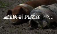 坚定顶墙门柜之路，今顶2021年核心代理商年中线上交流会圆满结束