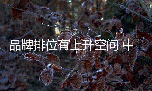 对于许多锁具企业来说