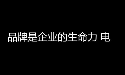 生电动电动车市场发展至今