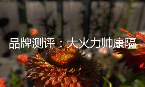 冰冷的测评秋冬回到家