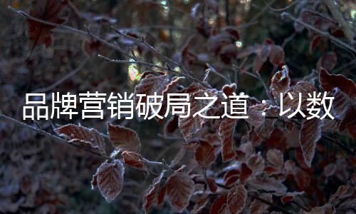张菂一直专注于营销领域