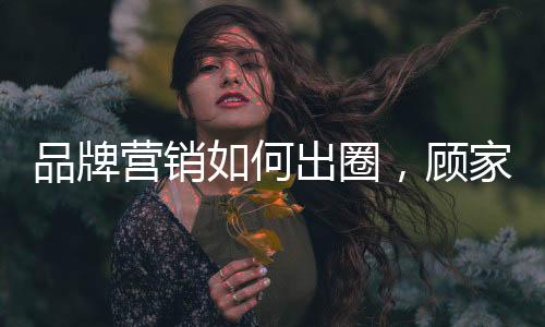 家成为了最后的品牌避风港