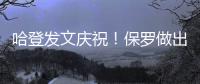 快排公司十年历程，霸屏兔 seo 的崛起与坚守