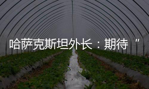 中国外长王毅出席并主持会晤