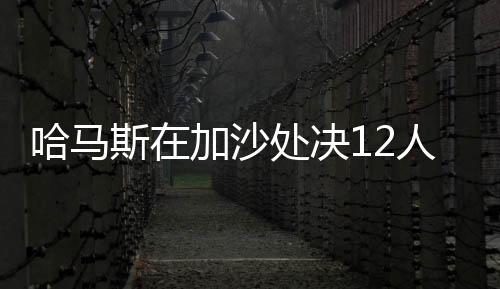 包括盗窃人道主义援助物资等