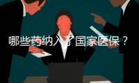 哪些药纳入了国家医保？用它随时查→