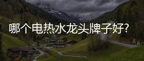 热水电热水龙头十大品牌