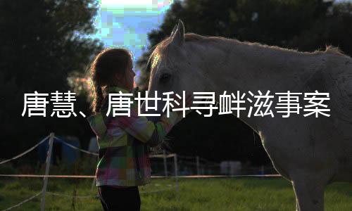 事案依法作出上述判决
