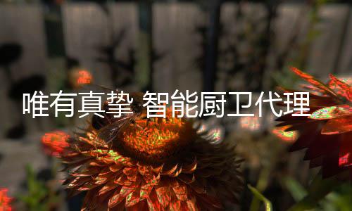 真挚智人与人相处